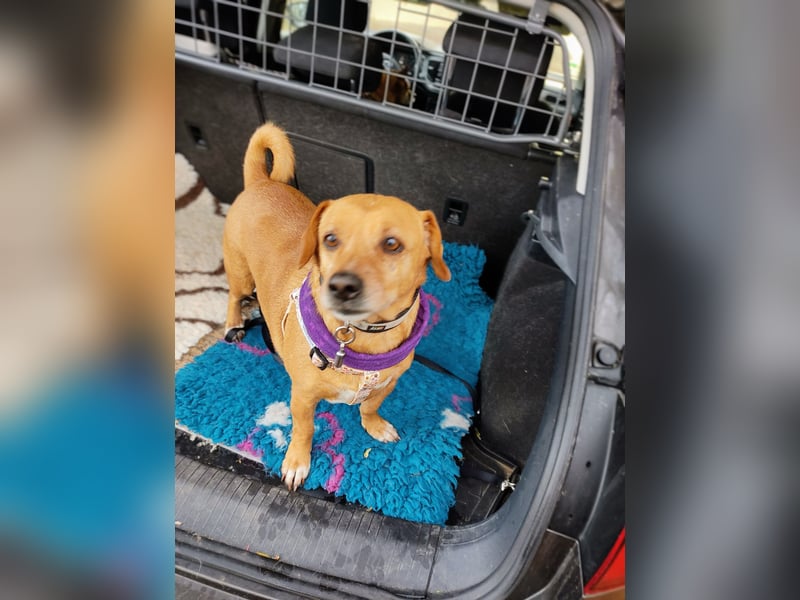 Albu - bereits in Deutschland auf PS