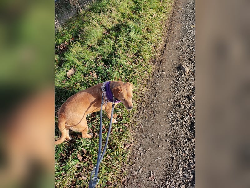 Albu - bereits in Deutschland auf PS