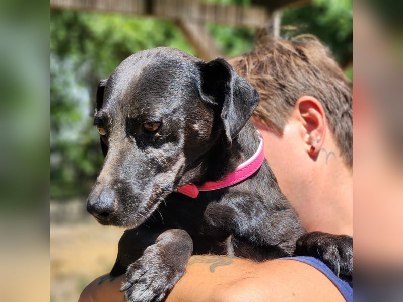Rosie auf der Suche nach ihrem Körbchen