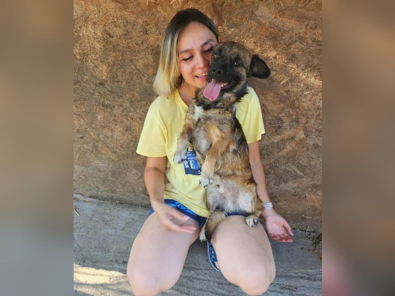 SHOGUN gerettet aus Horror Tötung Slatina, Ostern'22