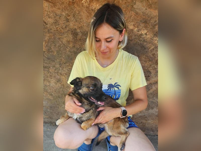 SHOGUN - gerettet aus der Horror Tötung Slatina, Ostern'22