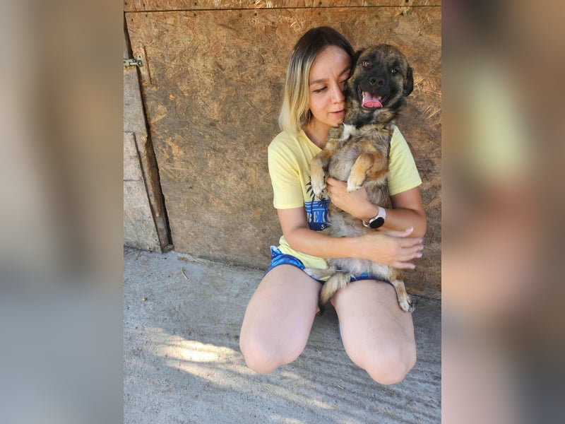 SHOGUN - gerettet aus der Horror Tötung Slatina, Ostern'22