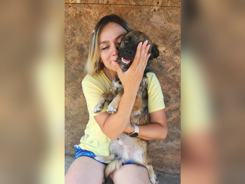 SHOGUN - gerettet aus der Horror Tötung Slatina, Ostern'22