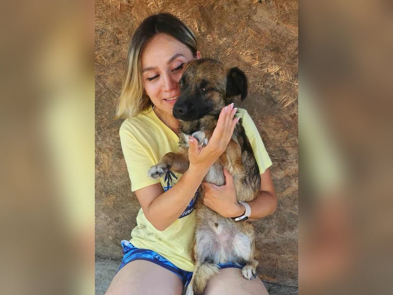 SHOGUN ♥ - Gerettet aus der Horror Tötung Slatina, Ostern'22