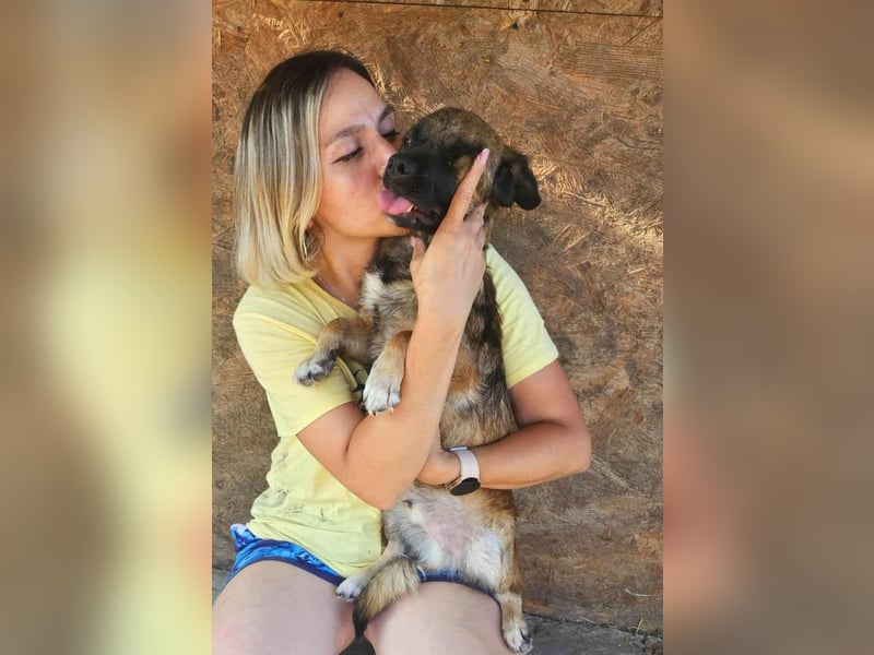 SHOGUN gerettet aus Horror Tötung Slatina, Ostern'22