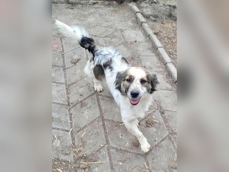 Ju'Ni - Baby unserer Straßenhündin April