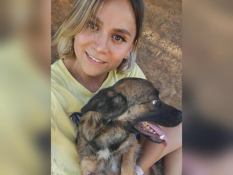 SHOGUN gerettet aus Horror Tötung Slatina, Ostern'22