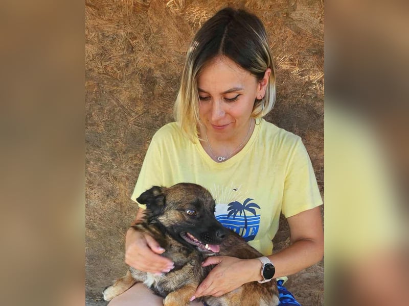 SHOGUN gerettet aus Horror Tötung Slatina, Ostern'22