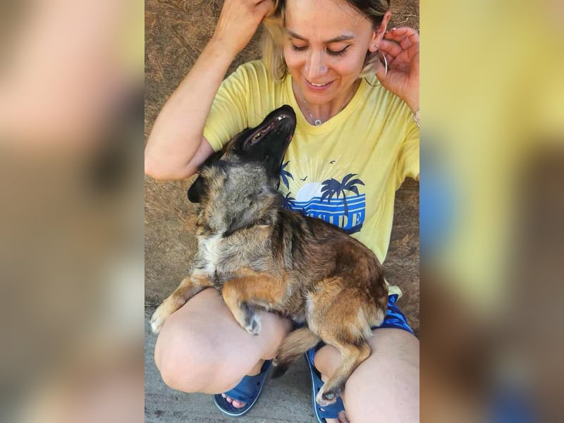 SHOGUN - gerettet aus der Horror Tötung Slatina, Ostern'22