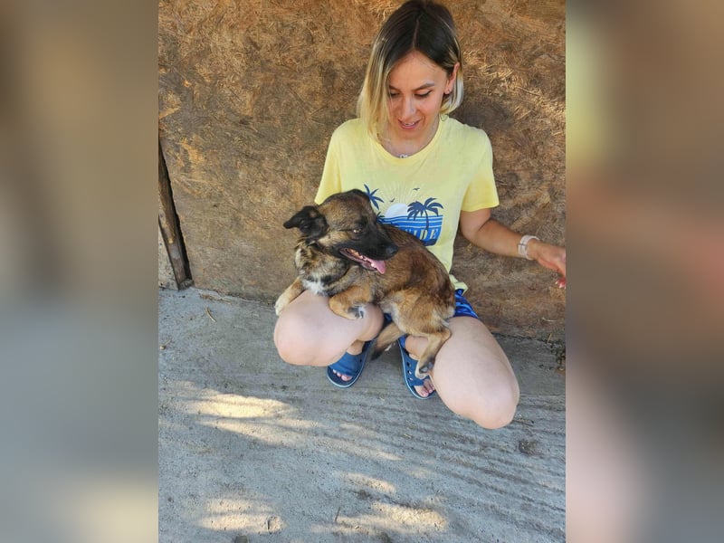 SHOGUN ♥ - Gerettet aus der Horror Tötung Slatina, Ostern'22