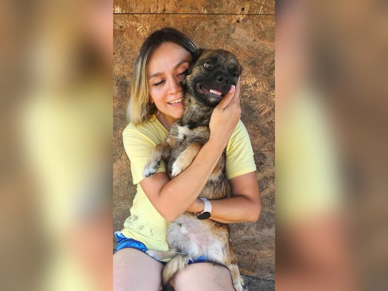 SHOGUN - gerettet aus der Horror Tötung Slatina, Ostern'22