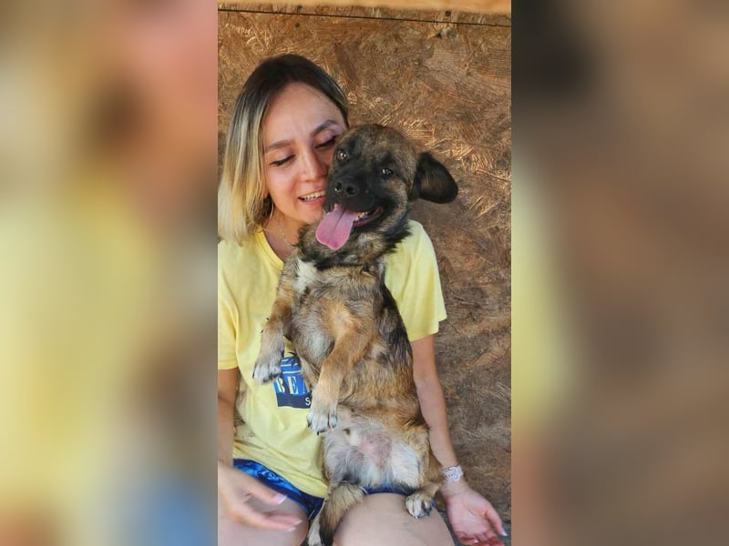 SHOGUN gerettet aus Horror Tötung Slatina, Ostern'22