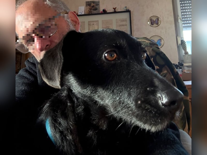 Tonkica ein absoluter Schatz