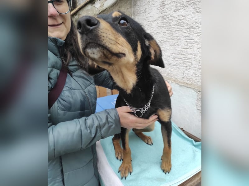 Liam ein absoluter Schatz