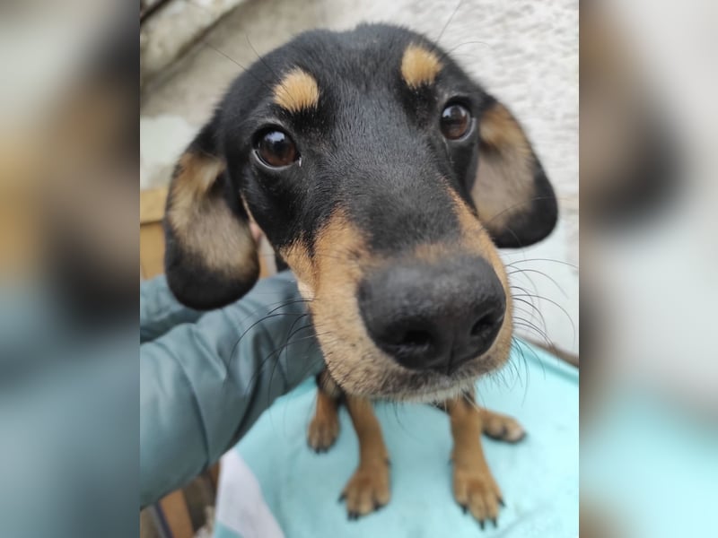 Liam ein absoluter Schatz