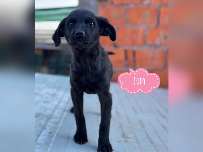 Jody ein winziges Welpenmädchen