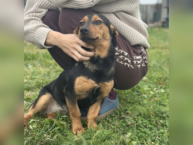 Tilly ein winziges Mädchen