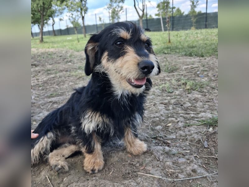 Pepy ein kleiner Schatz
