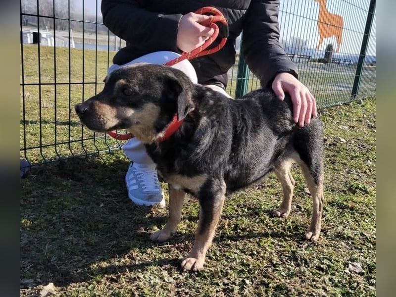 Lunjo ein richtiger Schmuser