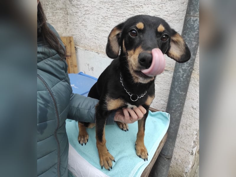 Liam ein absoluter Schatz