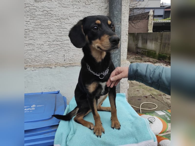 Liam ein absoluter Schatz