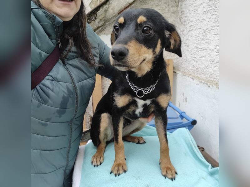 Liam ein absoluter Schatz