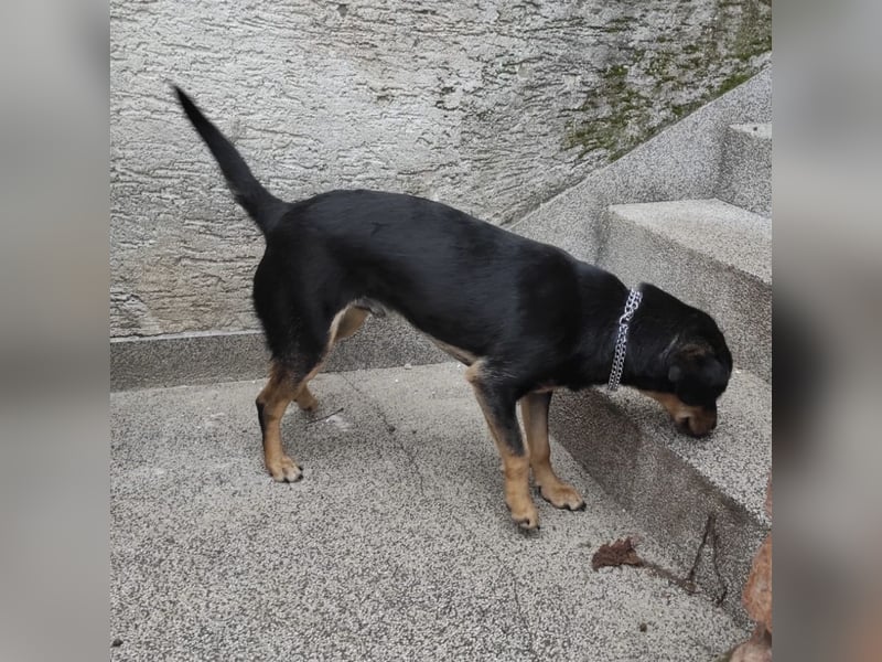 Liam ein absoluter Schatz