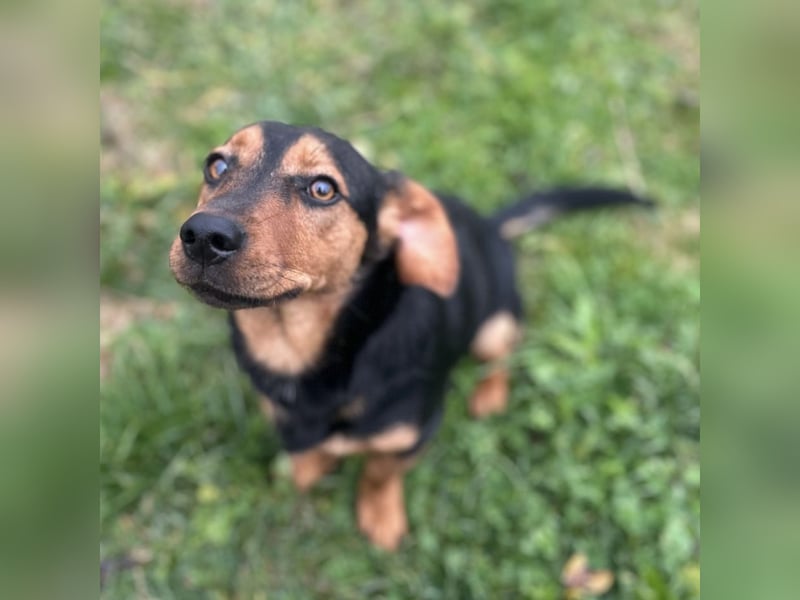 Tilly ein winziges Mädchen