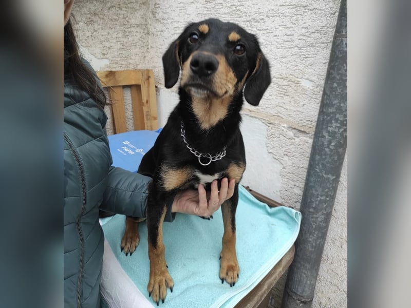 Liam ein absoluter Schatz