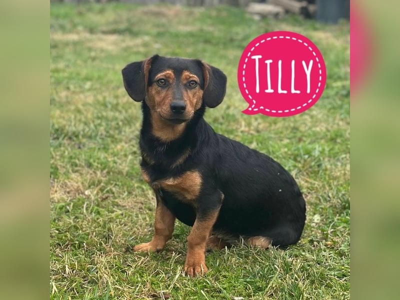 Tilly ein winziges Mädchen