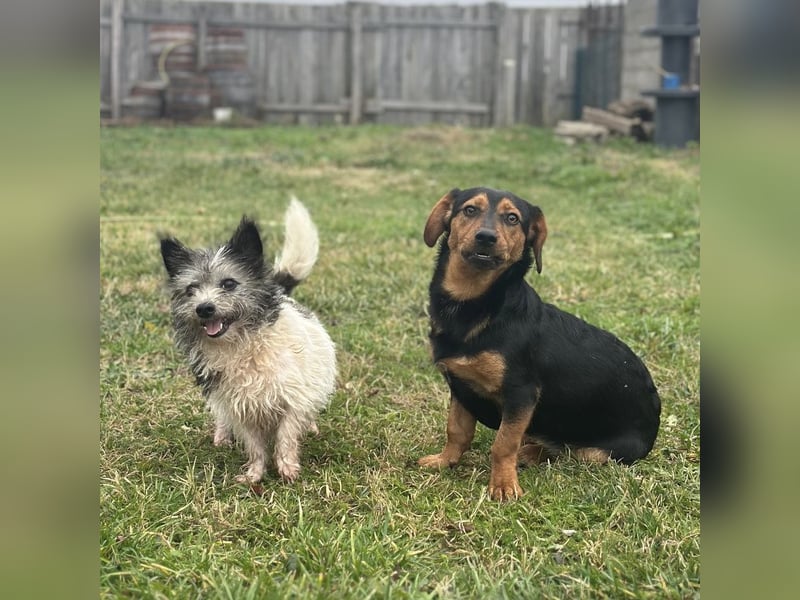 Tilly ein winziges Mädchen
