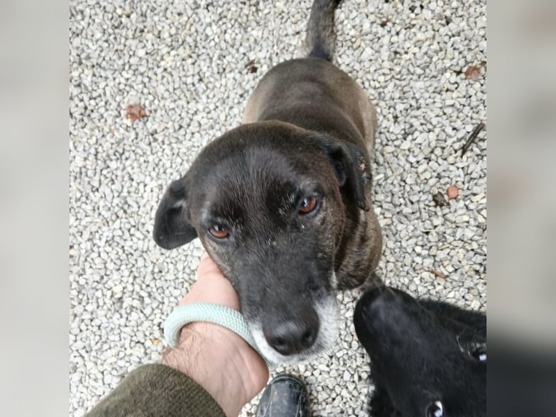 Nutella braucht ein Zuhause