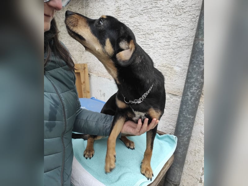 Liam ein absoluter Schatz