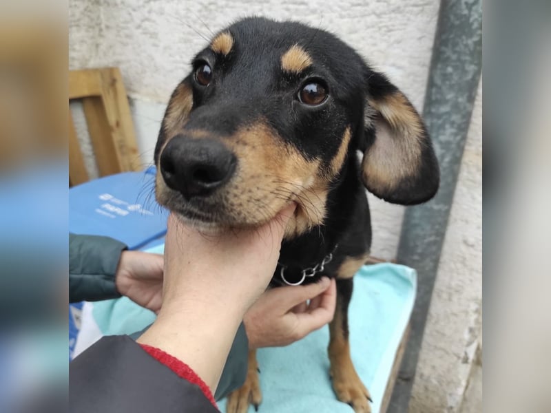 Liam ein absoluter Schatz