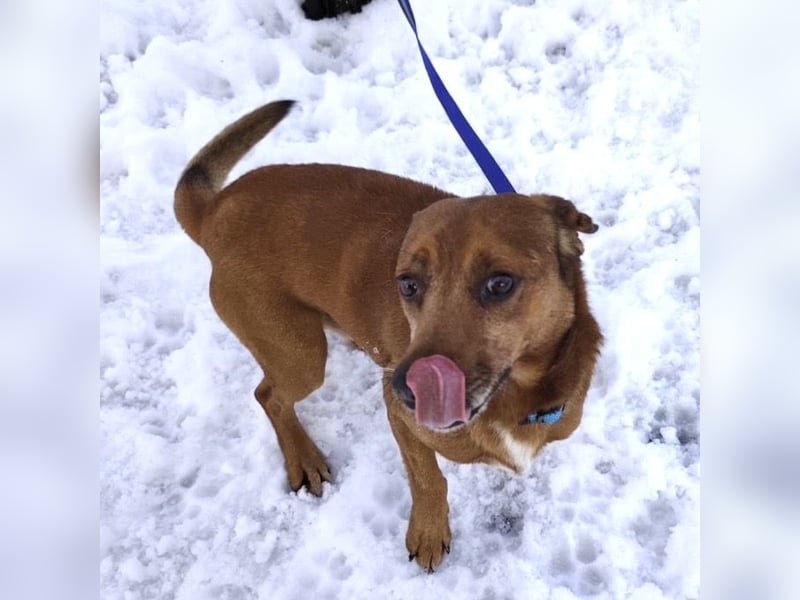 Moon ein super freundlicher Hundebub