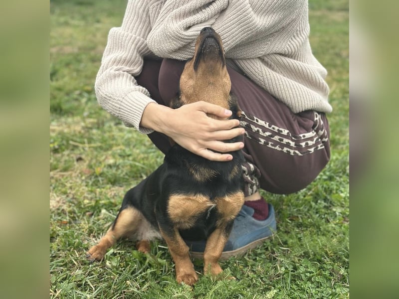 Tilly ein winziges Mädchen