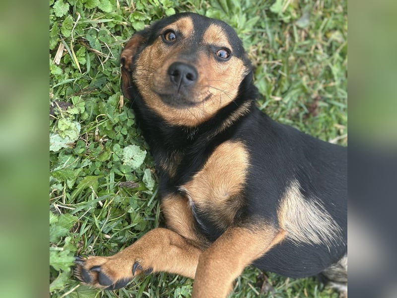 Tilly ein winziges Mädchen