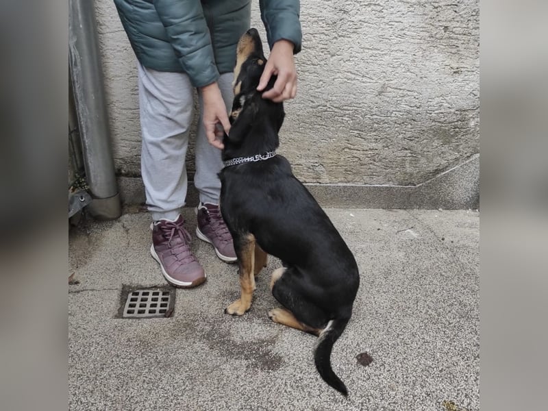 Liam ein absoluter Schatz