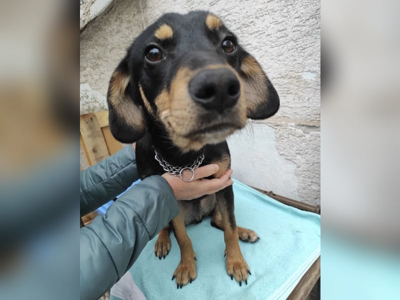 Liam ein absoluter Schatz