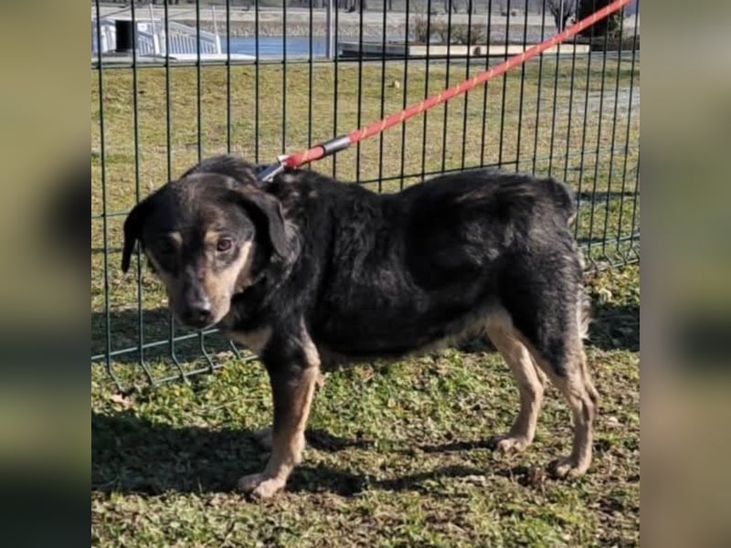 Lunjo ein richtiger Schmuser