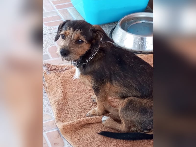 NALA sucht ihr Kuschelglück