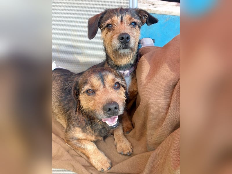 NALA sucht ihr Kuschelglück