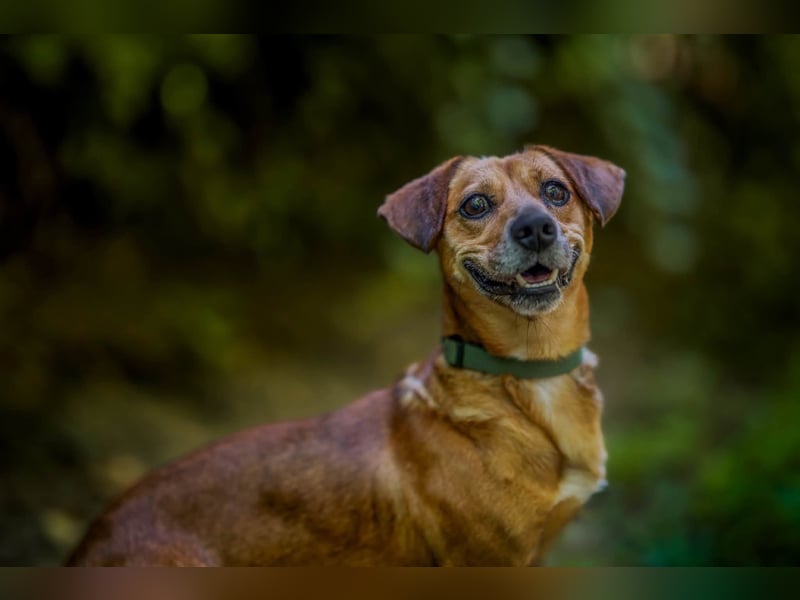 Woody - ein riesen Kuschel Fan