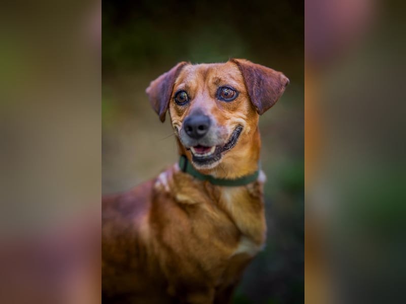 Woody - ein riesen Kuschel Fan