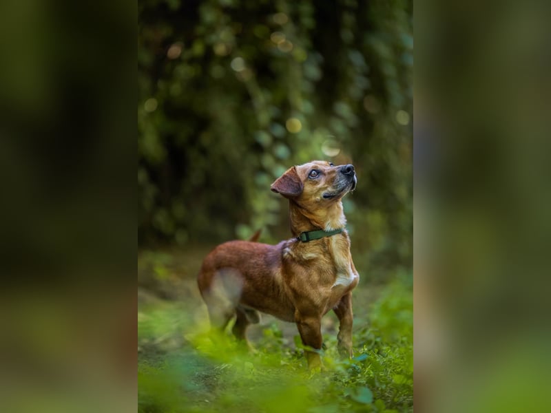 Woody - ein riesen Kuschel Fan