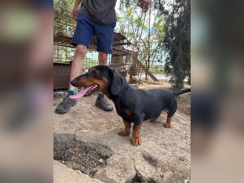Hans hat so viel Liebe zu geben
