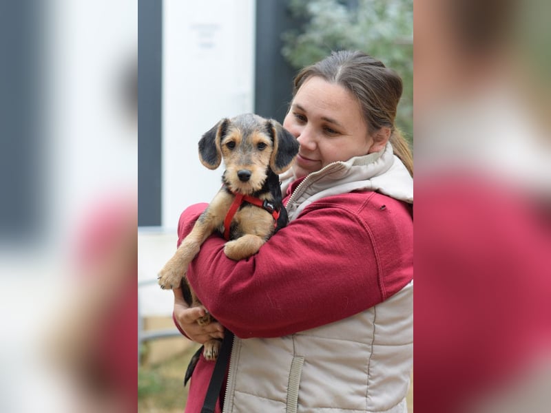 Rita - mit ihrem liebevollem Wesen erobert sie alle Herzen im Sturm