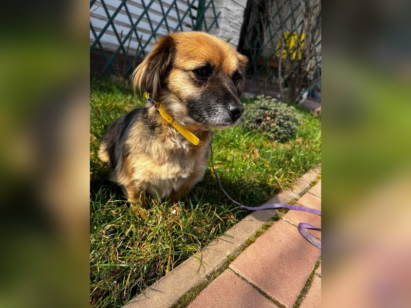 Lipi - liebe Minimaus