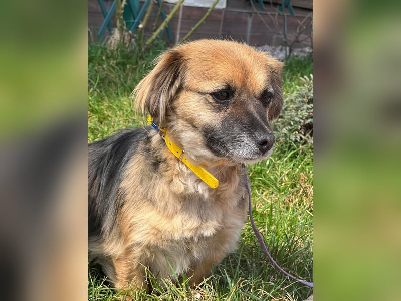 Lipi - liebe Minimaus