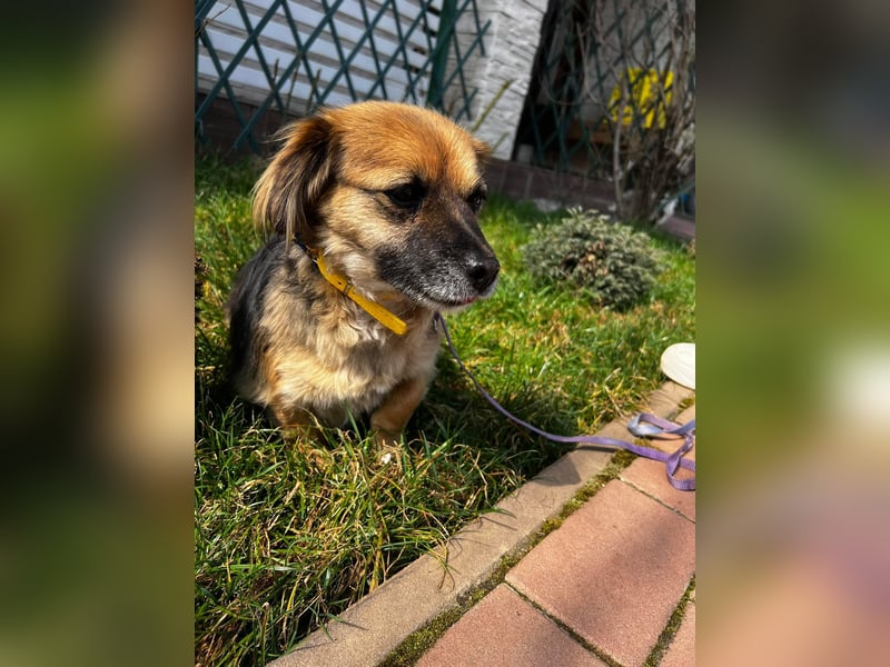 Lipi - liebe Minimaus